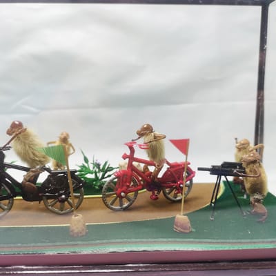 老北京毛猴辛夷