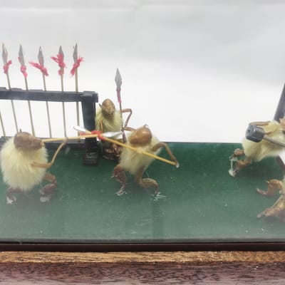 在北京哪里可以买到毛猴