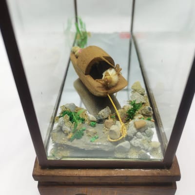 北京毛猴身体是什么