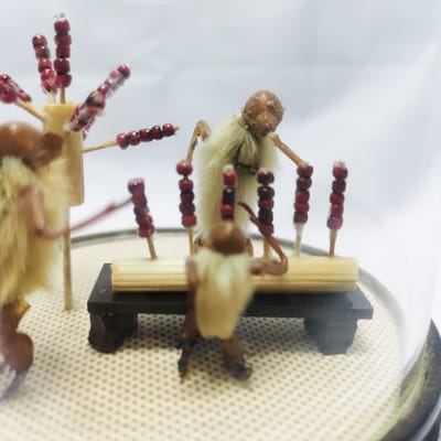 非遗的文化礼物是什么