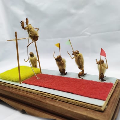 北京毛猴的材料