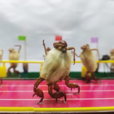 探寻小众的非遗手工艺品传承