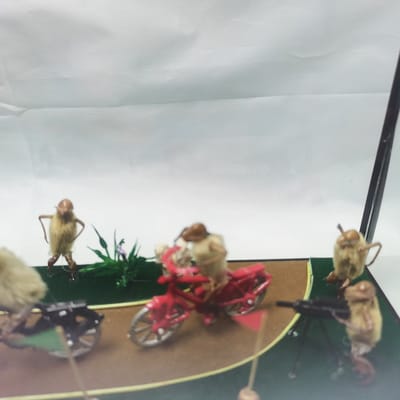 老北京毛猴图片