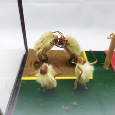 非遗手工艺品礼品