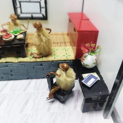 北京哪里有卖毛猴的