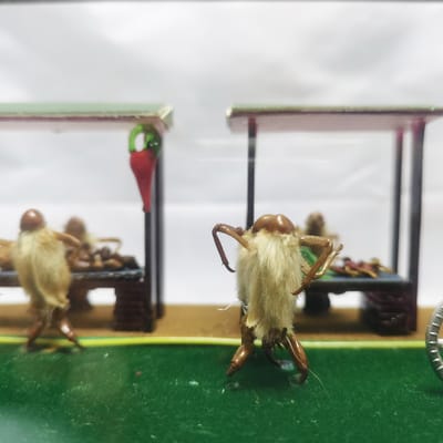 北京毛猴的来历