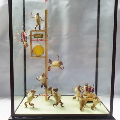 在北京哪里买毛猴