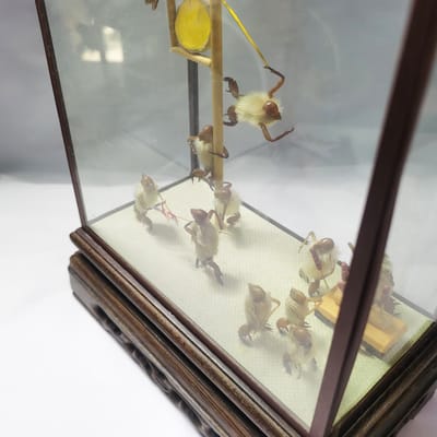 北京特产毛猴怎么做