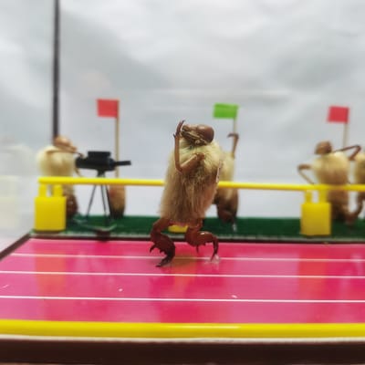 非遗礼物是什么