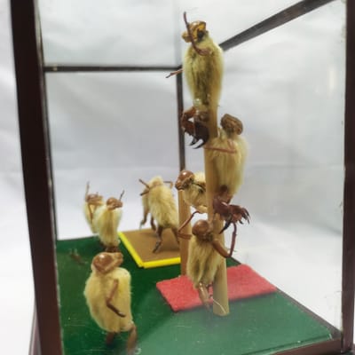 非遗的文化礼物