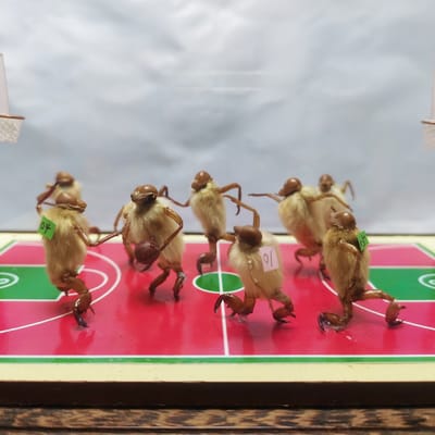 北京毛猴工艺品购买