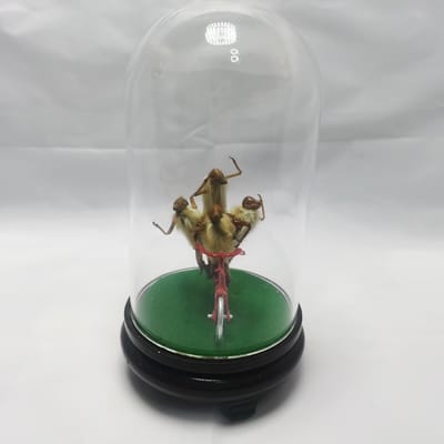 北京传统非遗手工制作毛猴