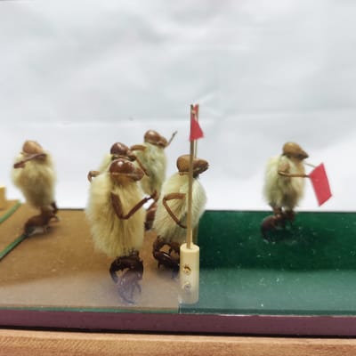 毛猴北京的非遗文化