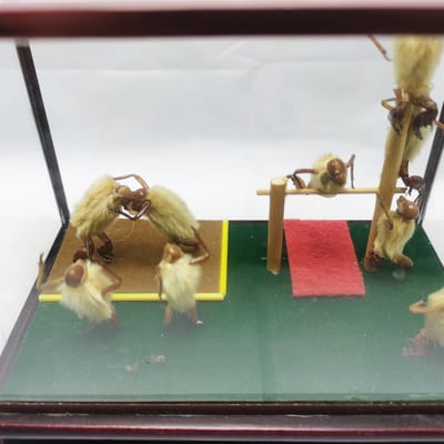 传播中国非遗手工艺品