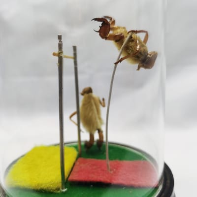 非遗礼物送什么好