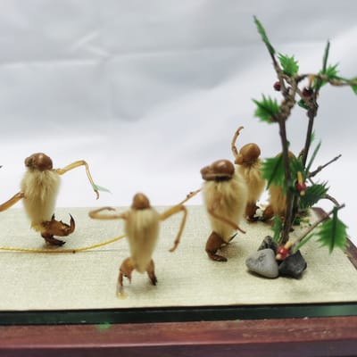 北京哪里还有卖毛猴