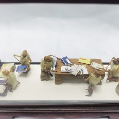 北京毛猴的起源