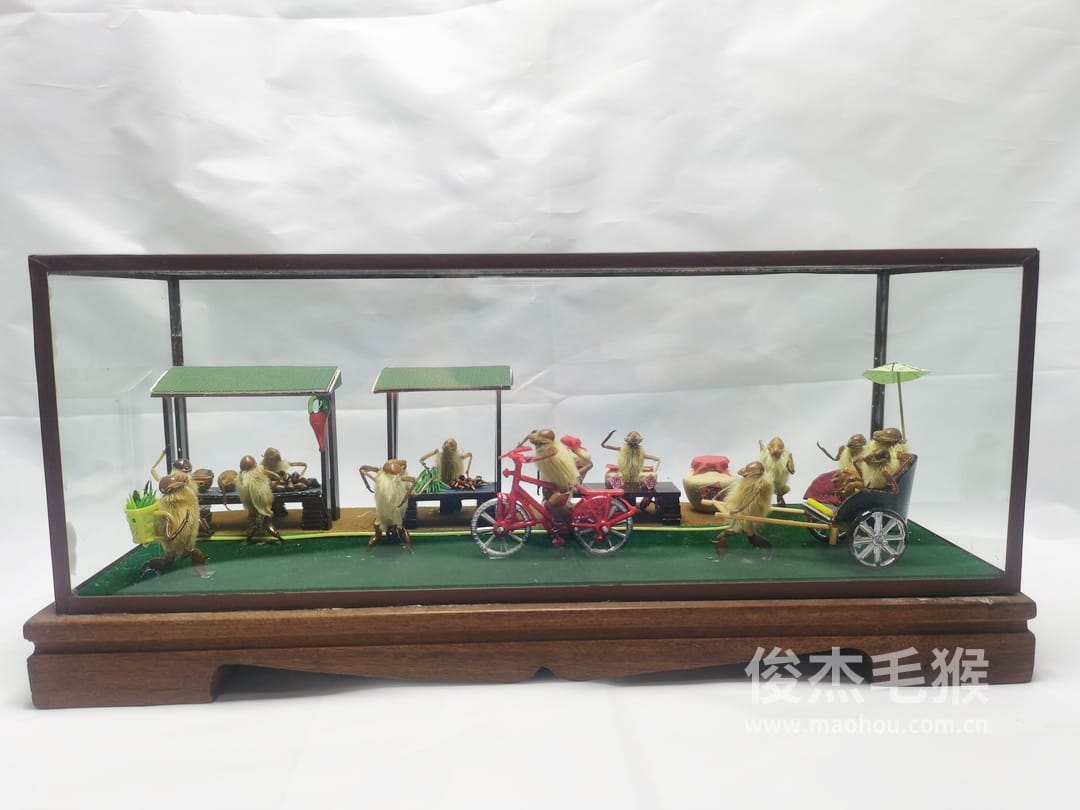 菜市场_大型北京毛猴作品1