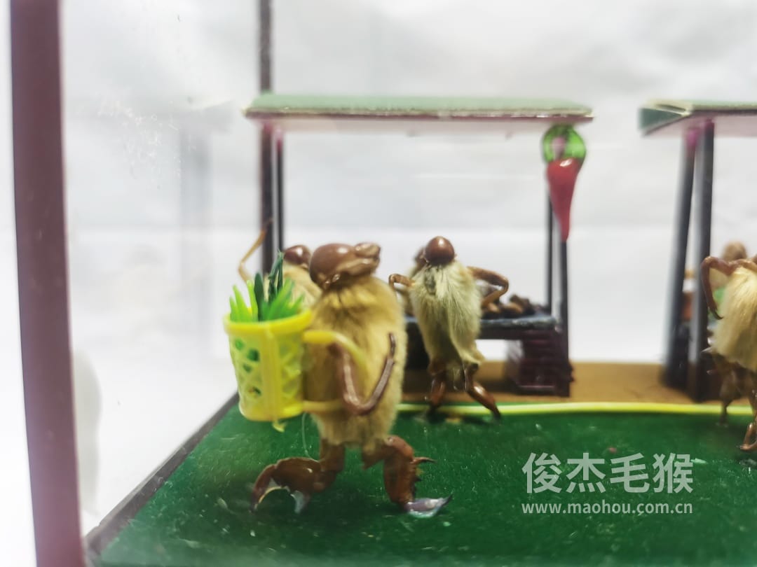 菜市场_大型北京毛猴作品4