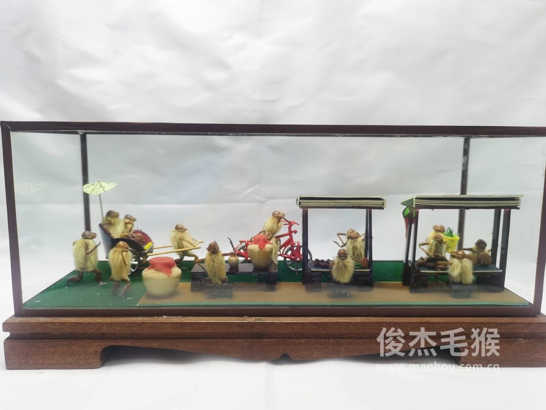 菜市场_大型北京毛猴作品7