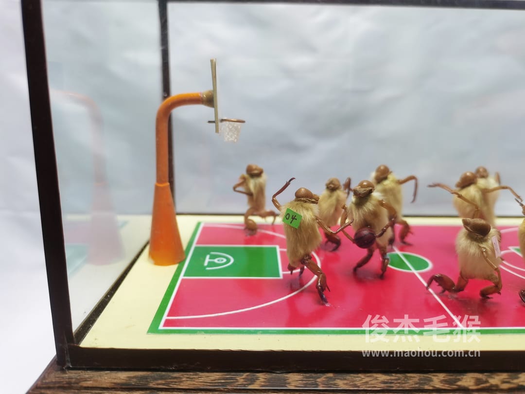 篮球比赛_大型北京毛猴作品3.jpg