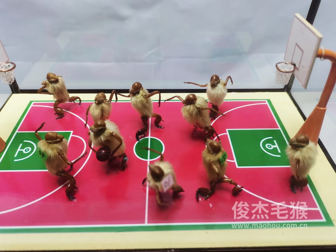 篮球比赛_大型北京毛猴作品4.jpg