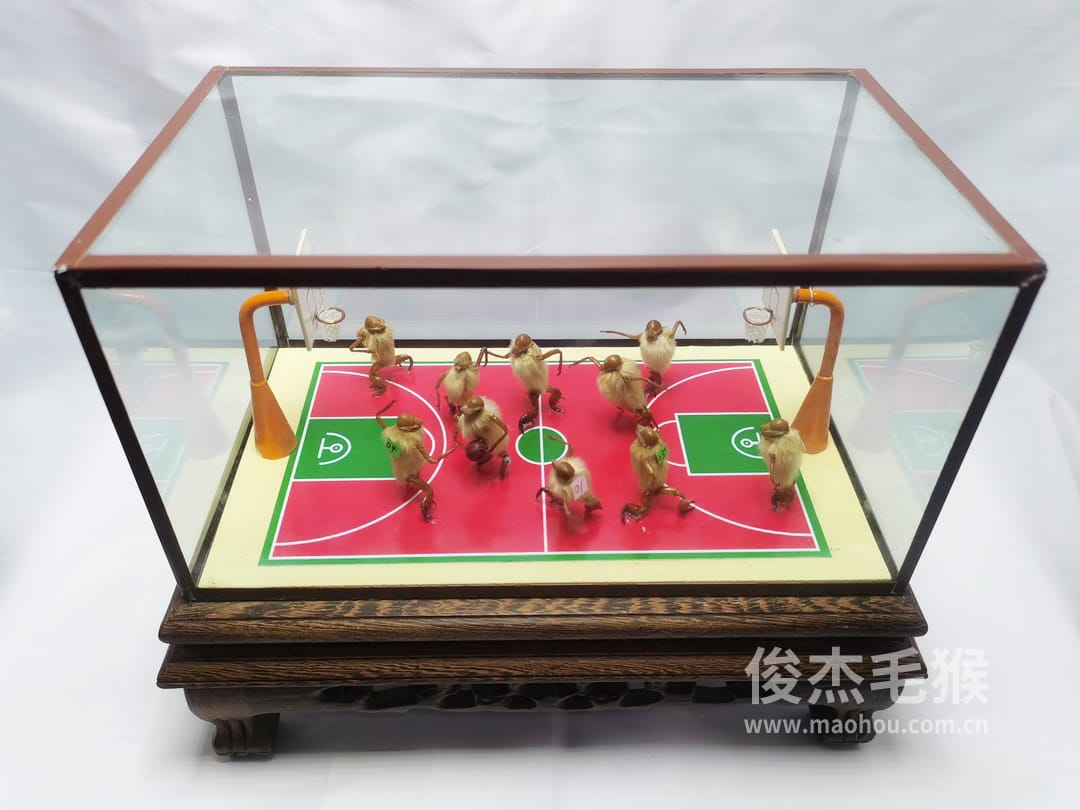 篮球比赛_大型北京毛猴作品5.jpg
