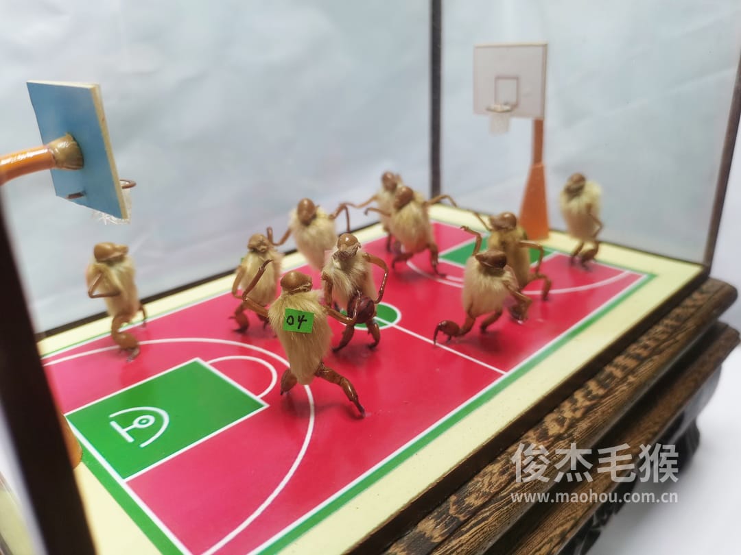 篮球比赛_大型北京毛猴作品6.jpg