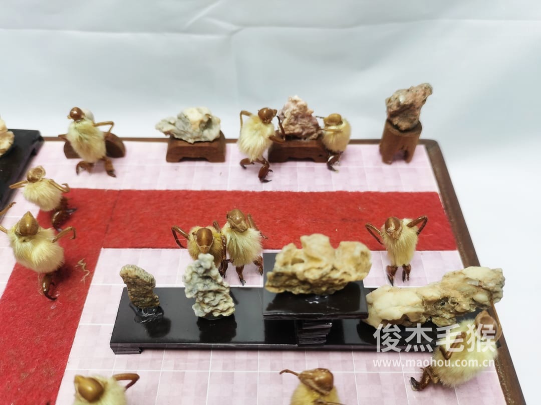 毛猴工艺品北京哪里有卖3 毛猴工艺品北京哪里有卖3
