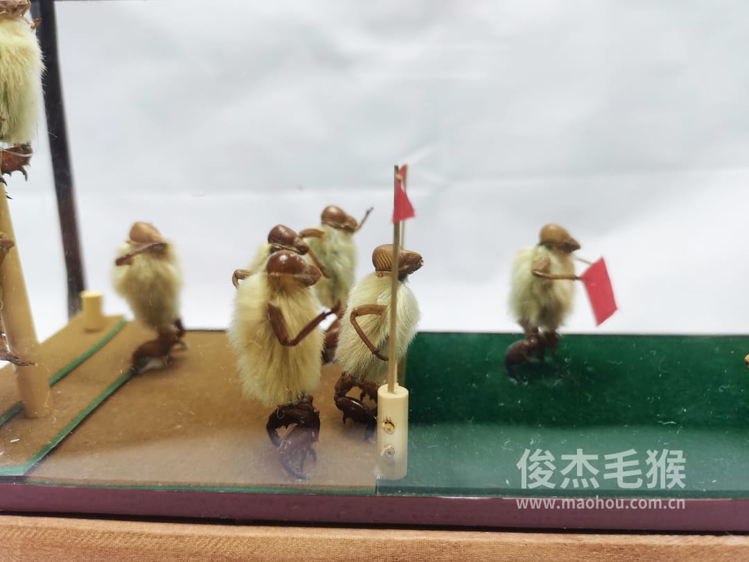 斗牛_中型北京毛猴作品_红木木托+方形玻璃罩3.jpg