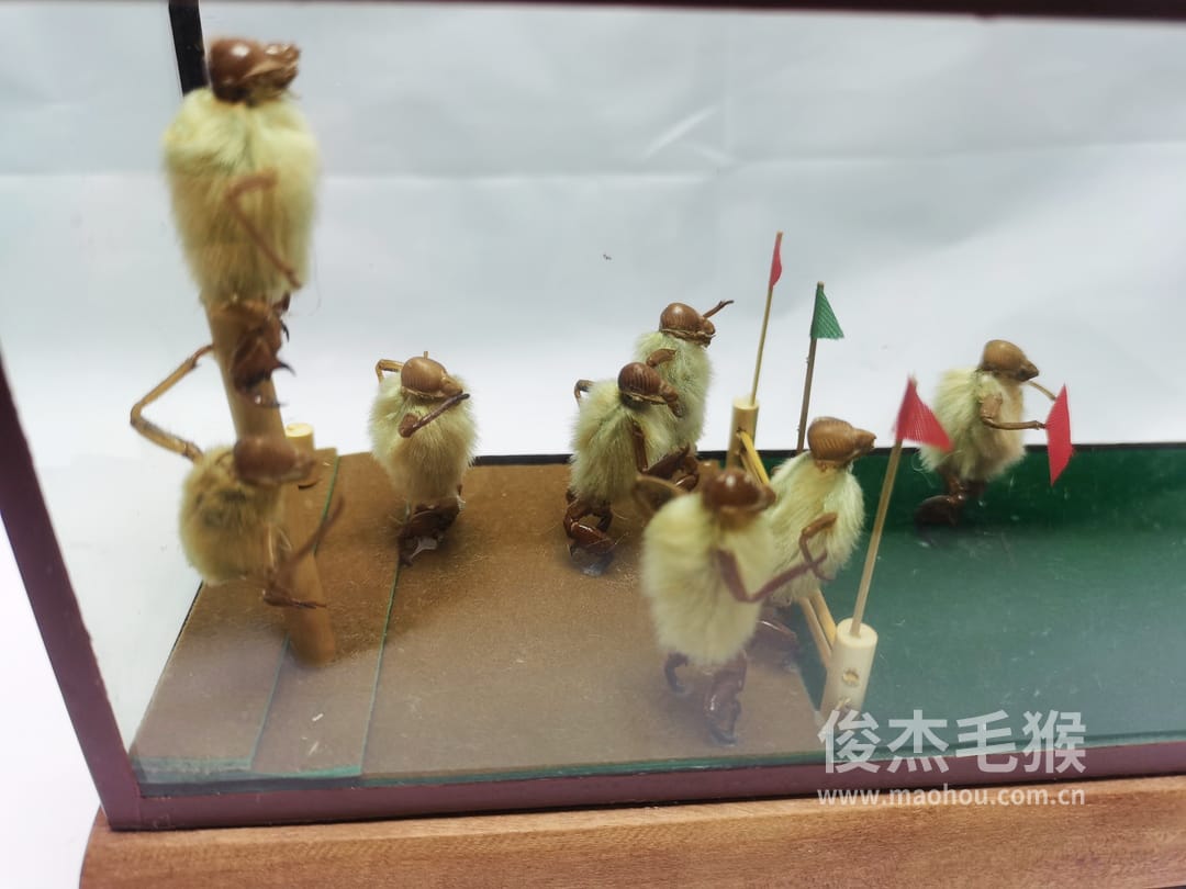 斗牛_中型北京毛猴作品_红木木托+方形玻璃罩5.jpg