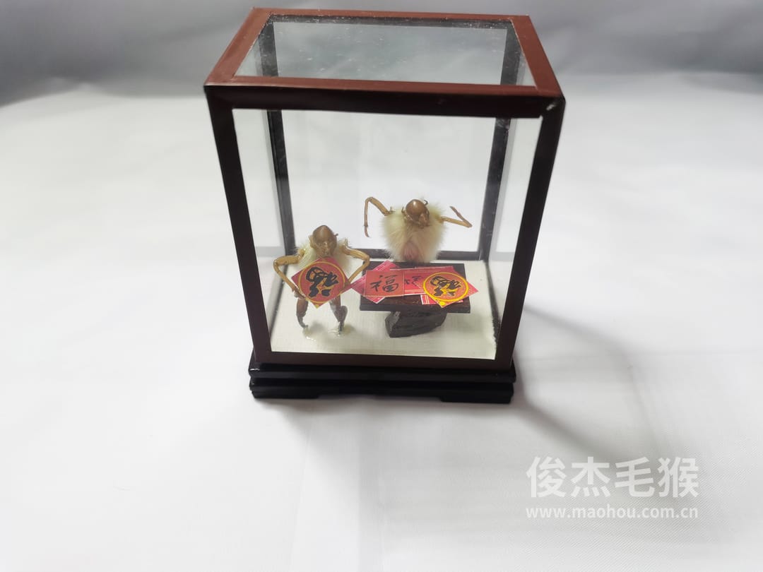 福到了_小型北京毛猴作品_玻璃方形底座+方形玻璃罩2.jpg