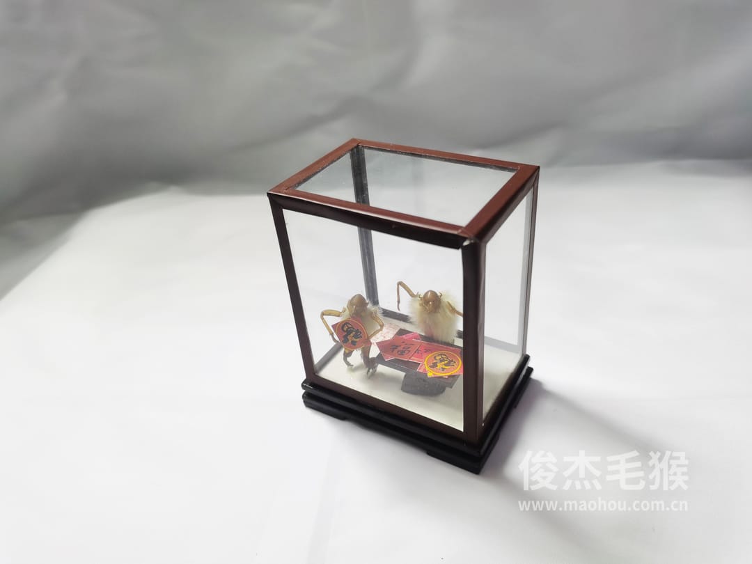 福到了_小型北京毛猴作品_玻璃方形底座+方形玻璃罩3.jpg