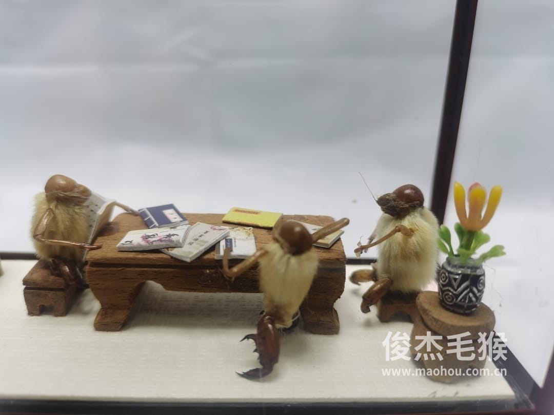 古籍书店_中型北京毛猴作品_红木木托+方形玻璃罩2.jpg