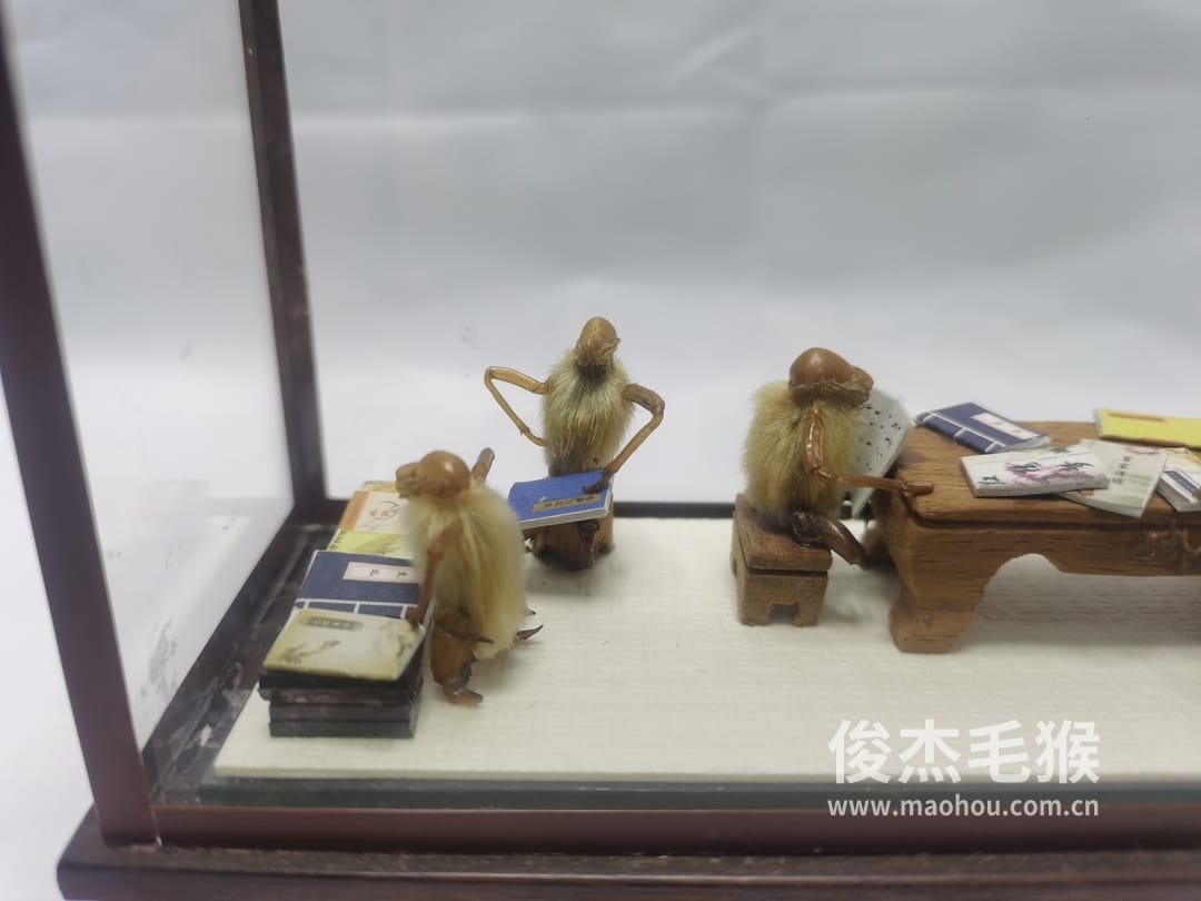 古籍书店_中型北京毛猴作品_红木木托+方形玻璃罩3.jpg