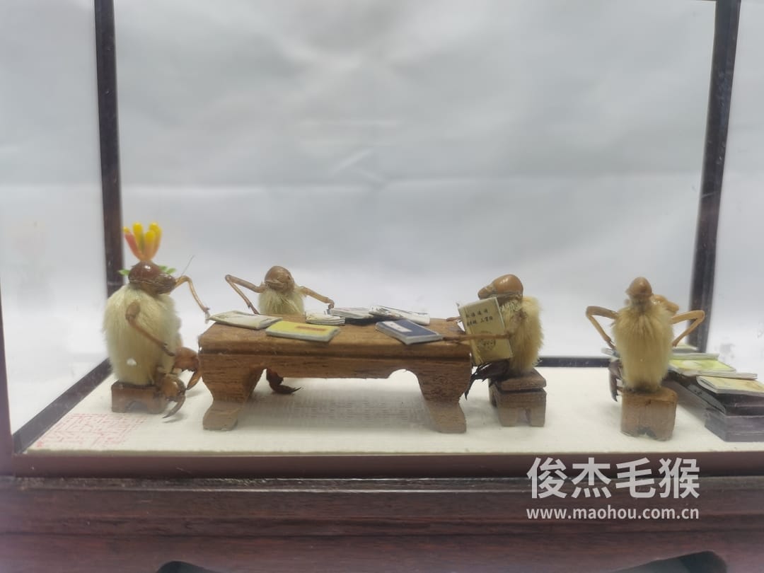古籍书店_中型北京毛猴作品_红木木托+方形玻璃罩5.jpg
