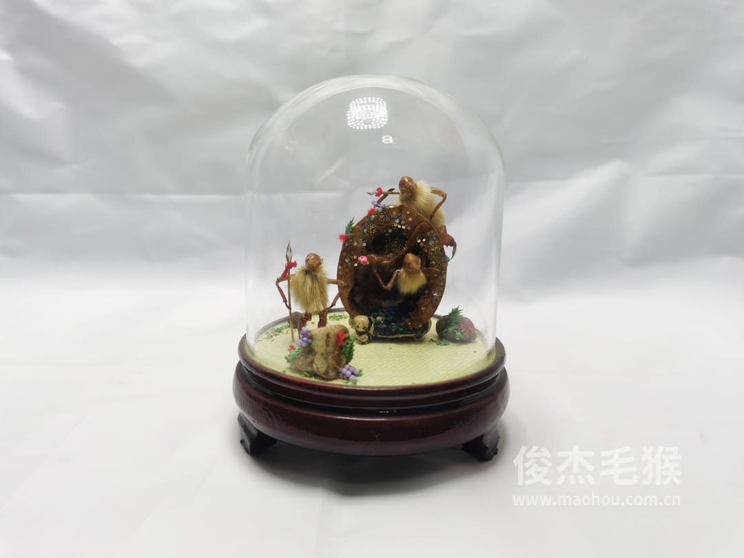和和睦睦_小型北京毛猴作品_桦木底座+圆玻璃罩1.jpg