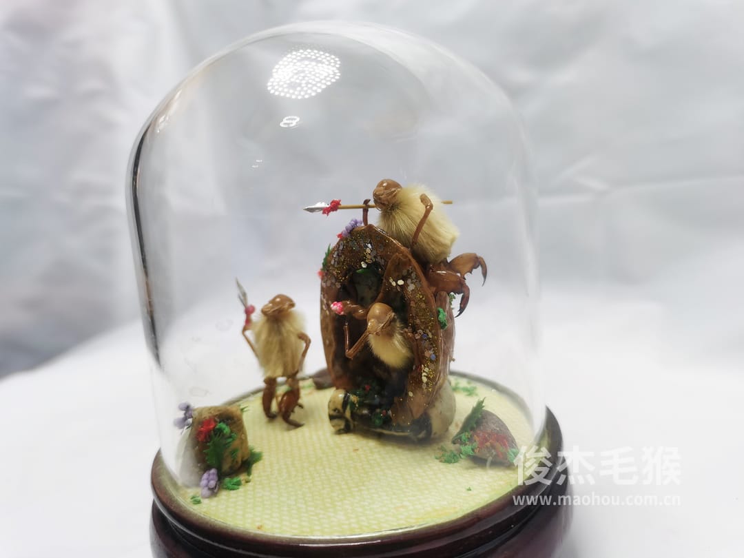 和和睦睦_小型北京毛猴作品_桦木底座+圆玻璃罩4.jpg