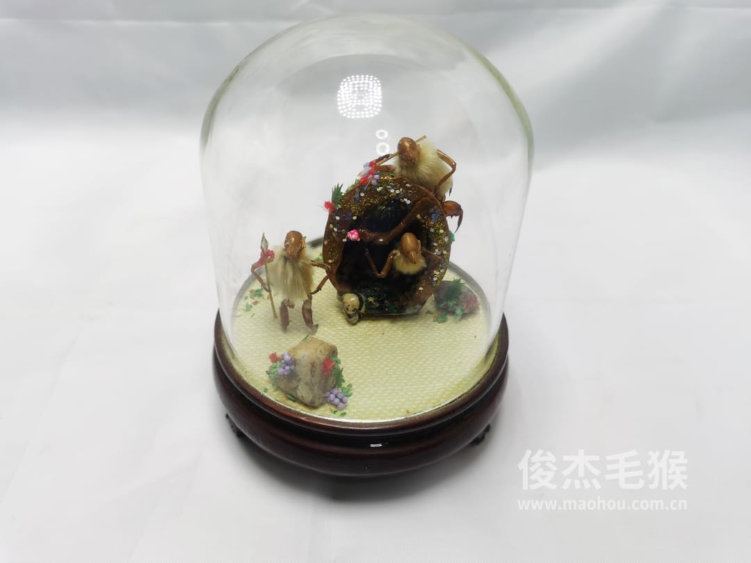和和睦睦_小型北京毛猴作品_桦木底座+圆玻璃罩5.jpg
