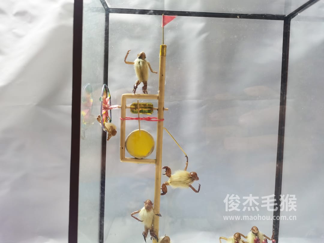 猴戏风车_中型北京毛猴作品_鸡翅木木托+方形玻璃罩3.jpg