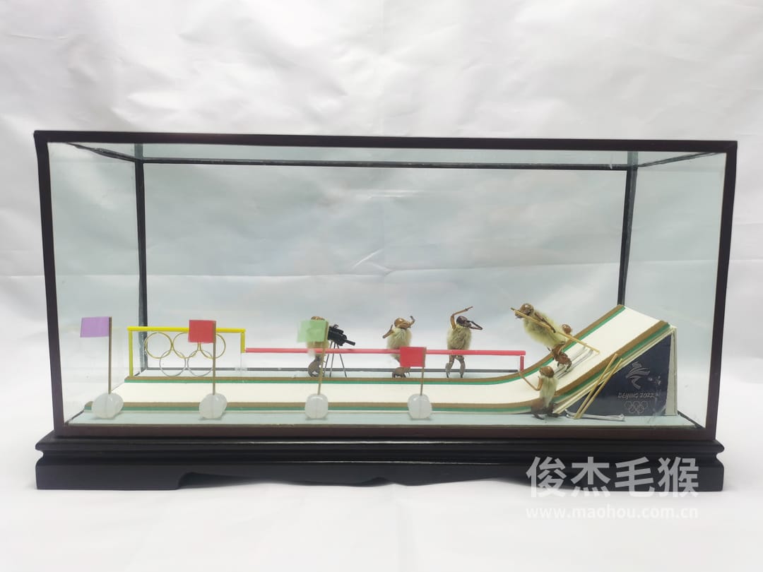 滑雪比赛_大型北京毛猴作品_鸡翅木木托+方形玻璃罩1.jpg