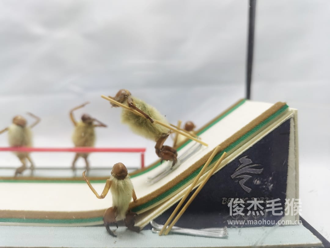 滑雪比赛_大型北京毛猴作品_鸡翅木木托+方形玻璃罩2.jpg
