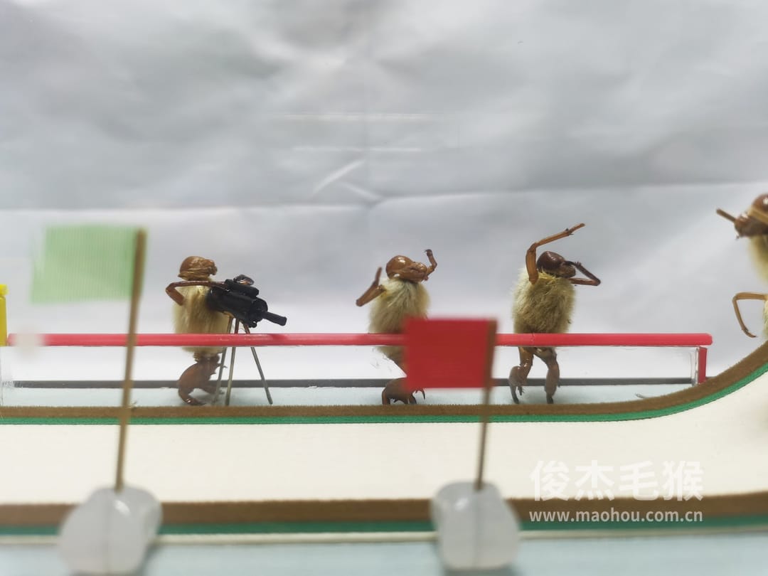 滑雪比赛_大型北京毛猴作品_鸡翅木木托+方形玻璃罩3.jpg