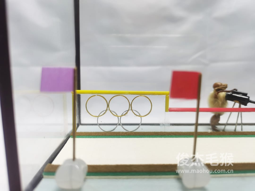 滑雪比赛_大型北京毛猴作品_鸡翅木木托+方形玻璃罩4.jpg