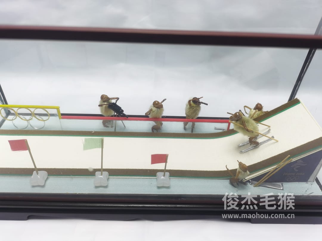 滑雪比赛_大型北京毛猴作品_鸡翅木木托+方形玻璃罩6.jpg