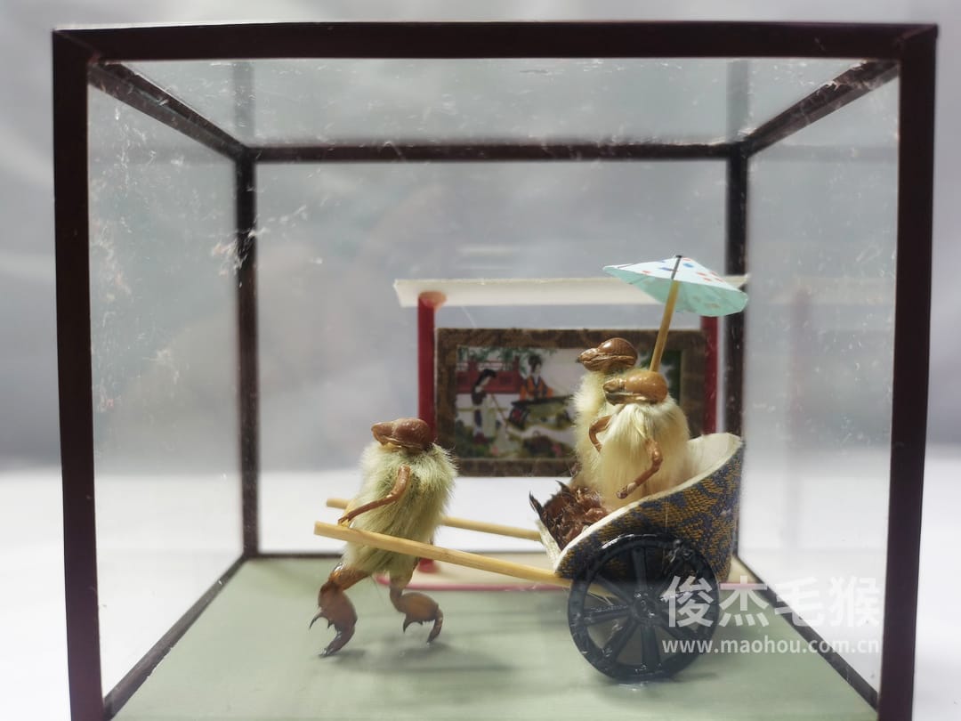 拉洋车（二）_小型北京毛猴作品_桦木底座+圆玻璃罩1.jpg