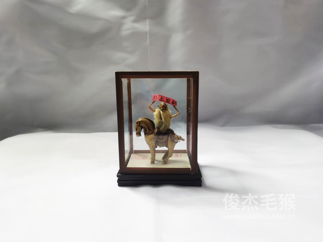 马上发财_小型北京毛猴作品_玻璃方形底座+方形玻璃罩1.jpg