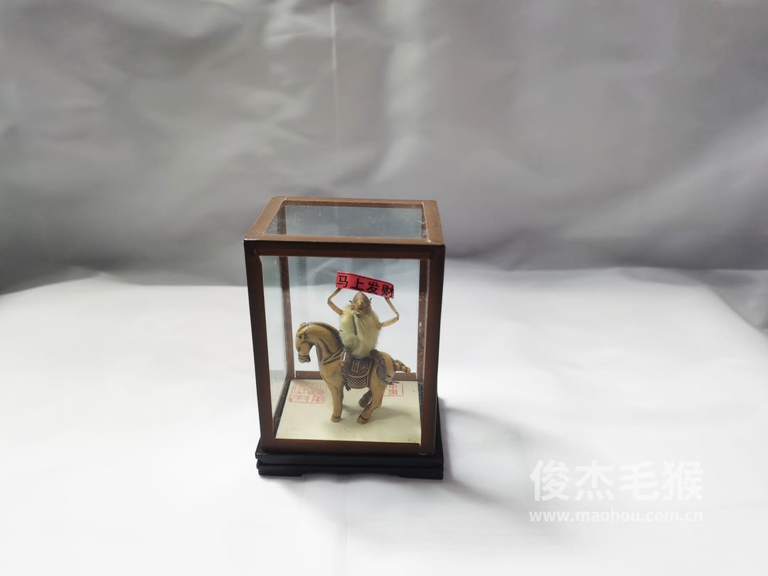马上发财_小型北京毛猴作品_玻璃方形底座+方形玻璃罩3.jpg