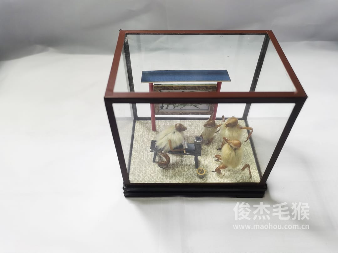 磨菜刀_小型北京毛猴作品_玻璃方形底座+方形玻璃罩2.jpg
