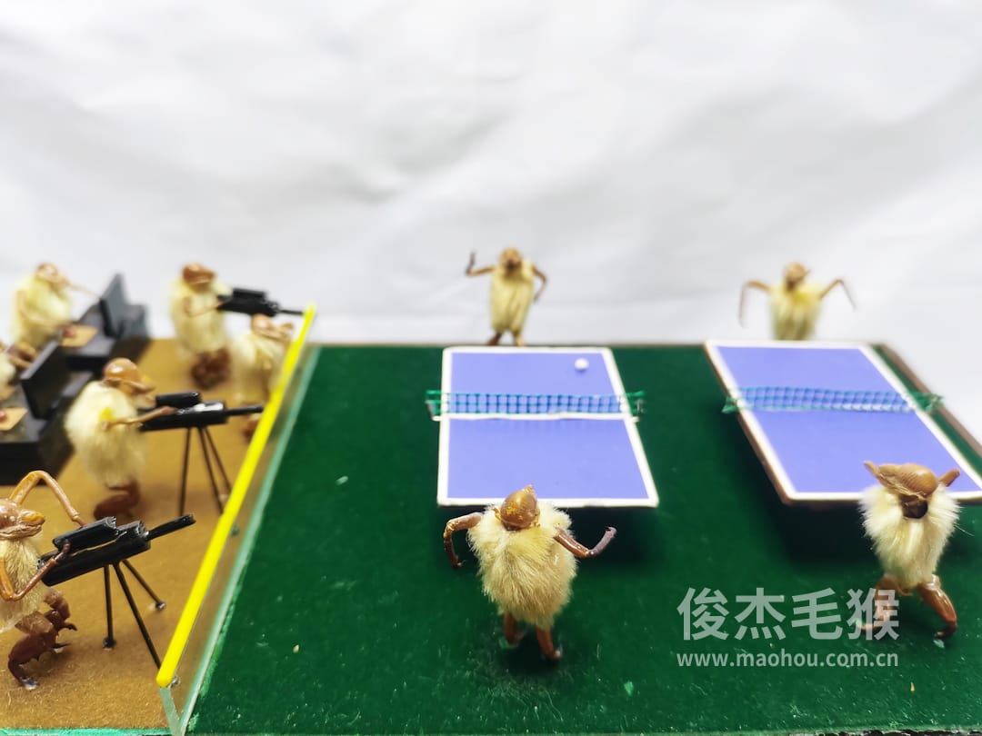 乒乓球赛_大型北京毛猴作品_鸡翅木木托+方形玻璃罩2.jpg